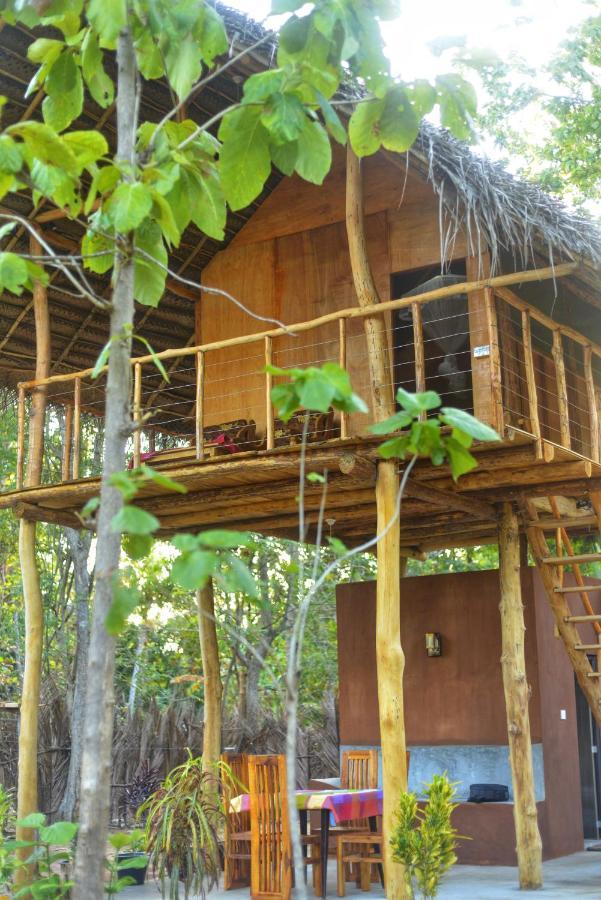 Pidurangala View Treehouse Apartment Sigiriya Exterior photo