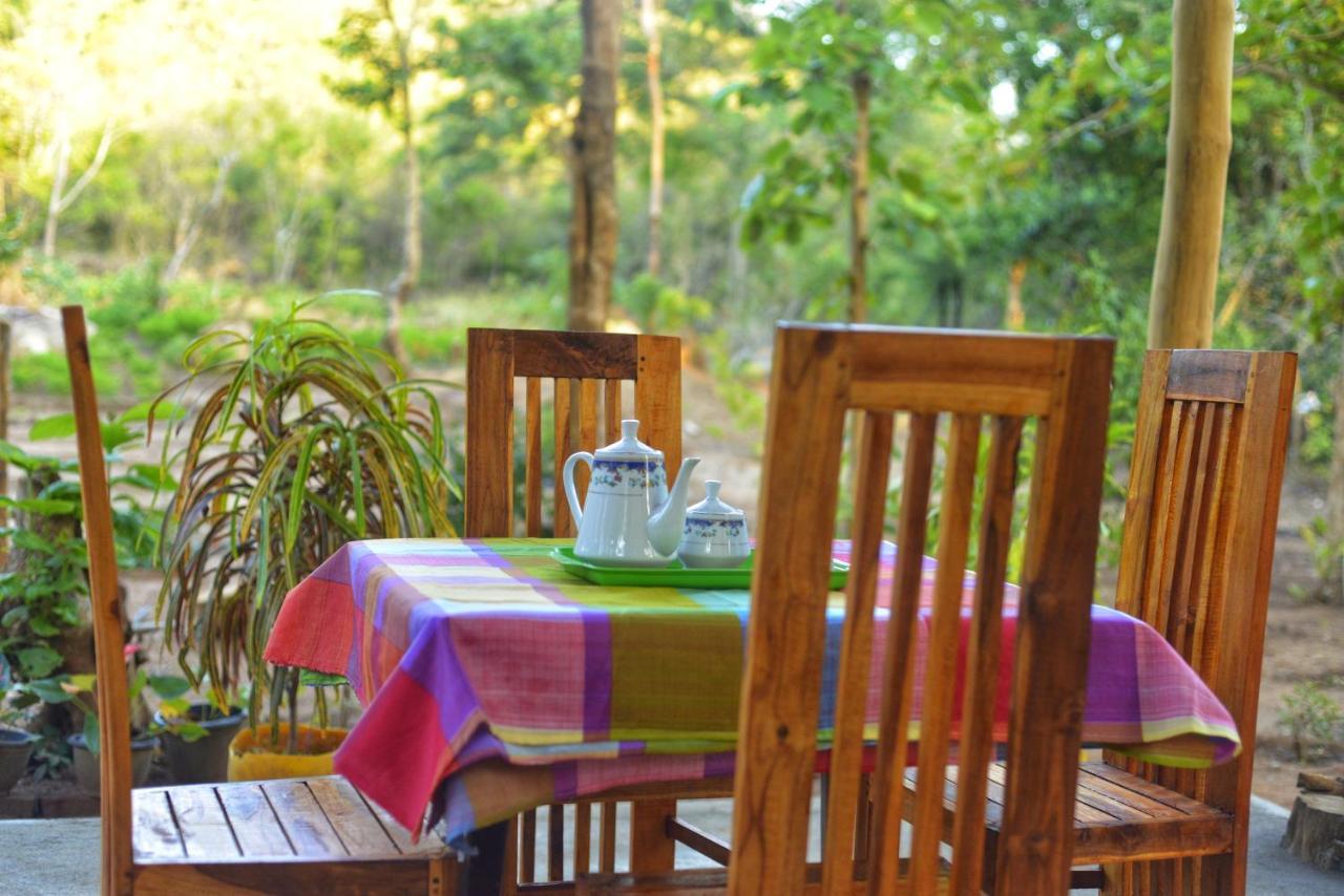 Pidurangala View Treehouse Apartment Sigiriya Exterior photo
