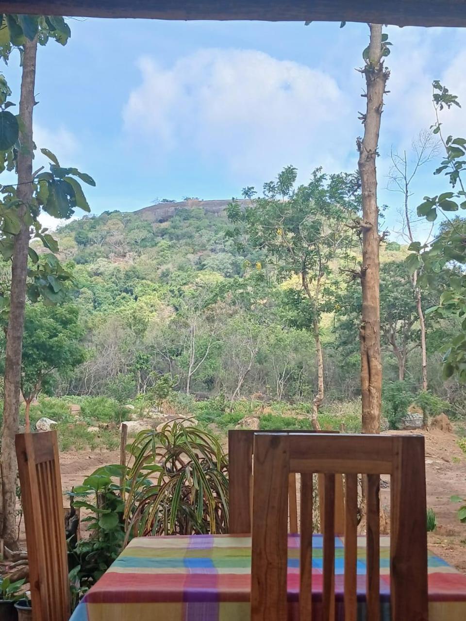 Pidurangala View Treehouse Apartment Sigiriya Exterior photo
