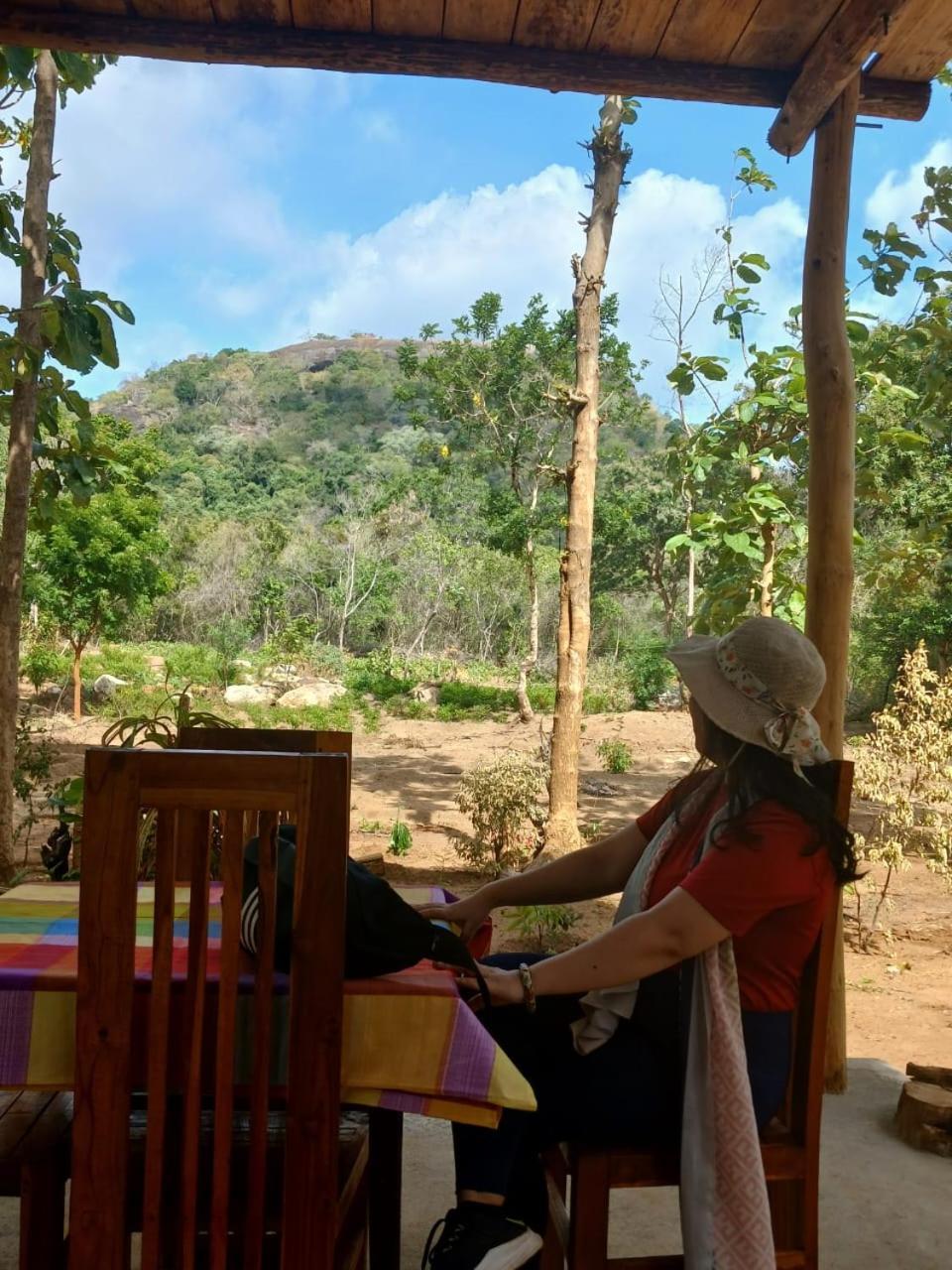 Pidurangala View Treehouse Apartment Sigiriya Exterior photo