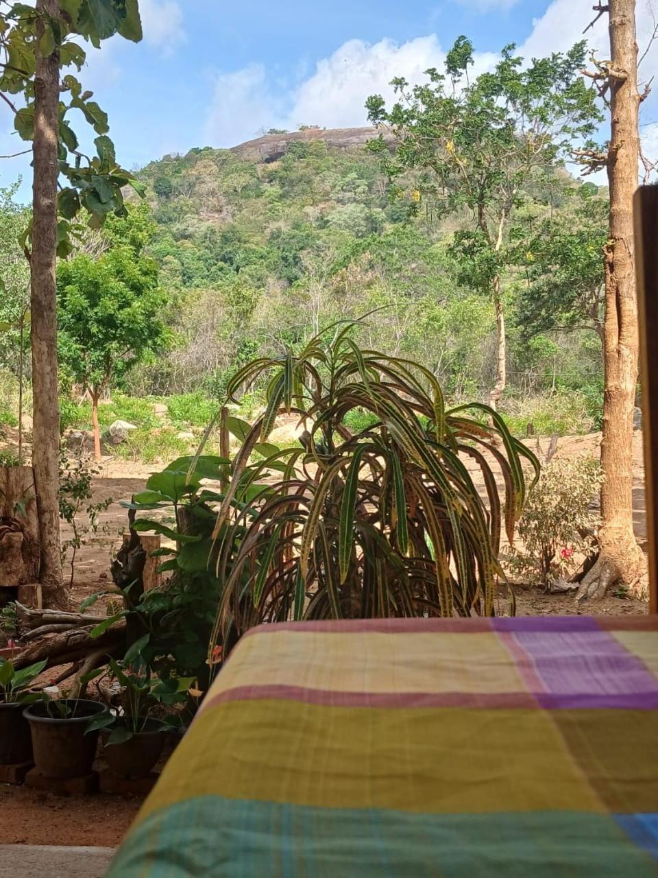 Pidurangala View Treehouse Apartment Sigiriya Exterior photo