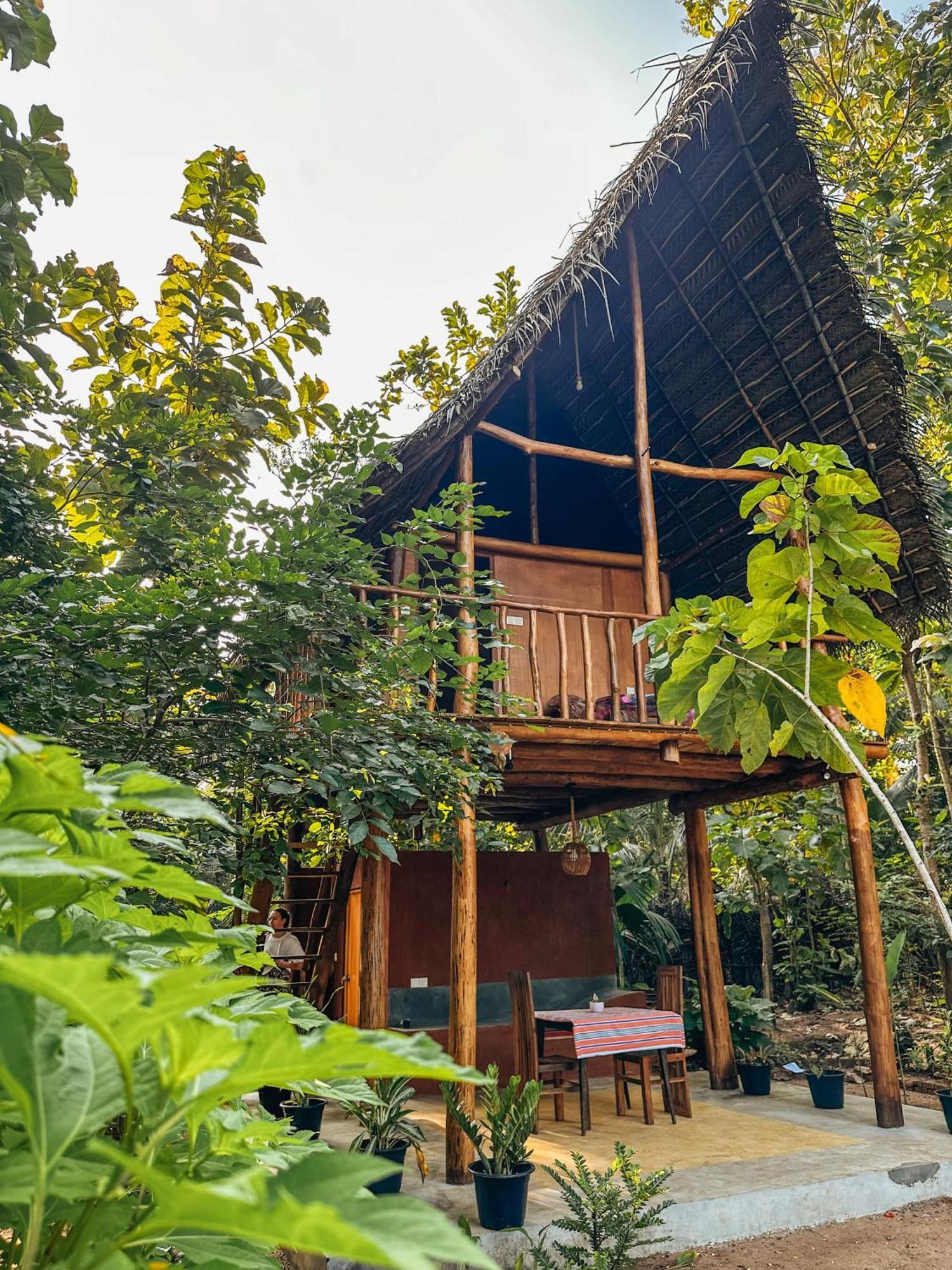 Pidurangala View Treehouse Apartment Sigiriya Exterior photo