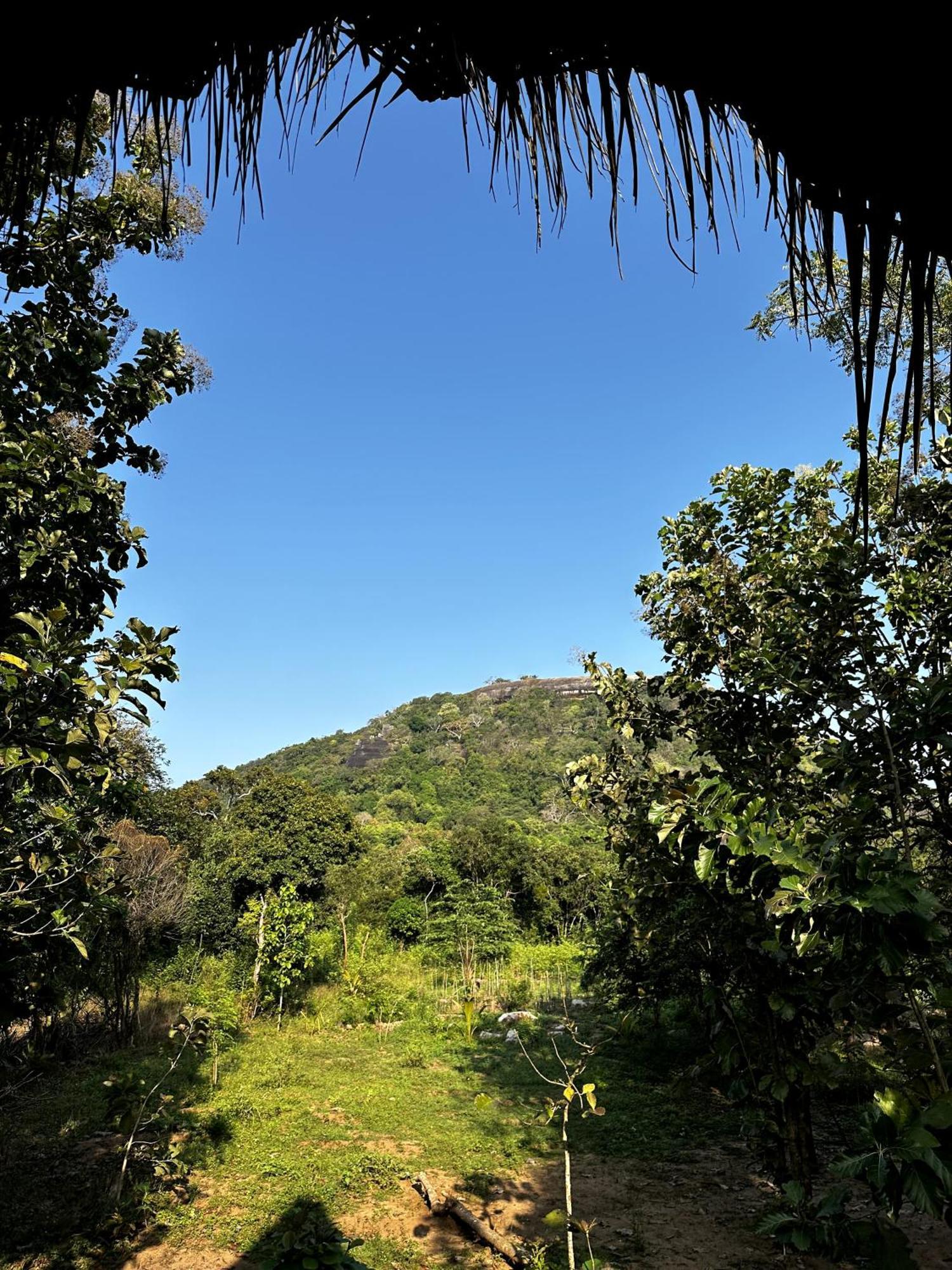 Pidurangala View Treehouse Apartment Sigiriya Exterior photo