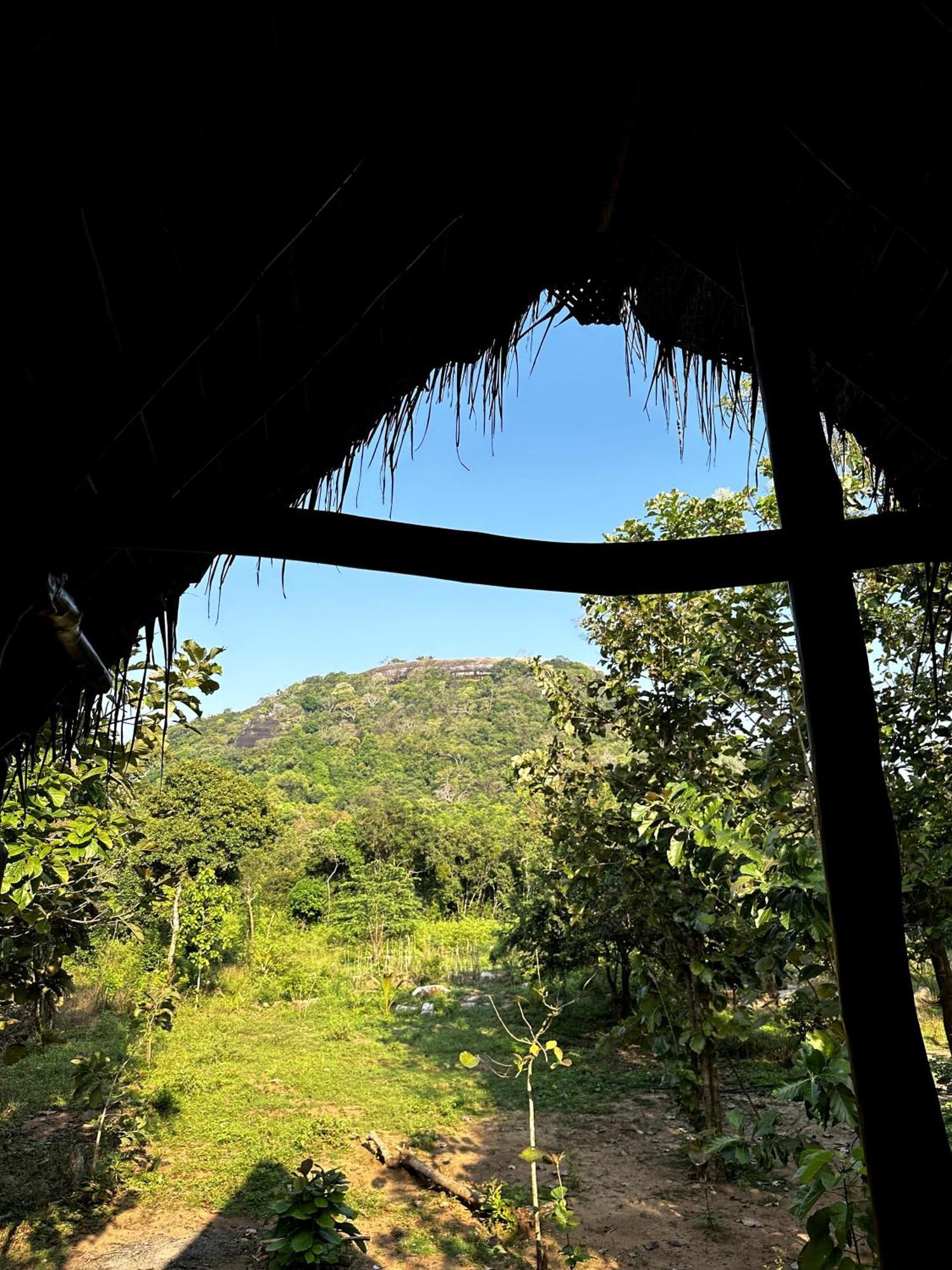 Pidurangala View Treehouse Apartment Sigiriya Exterior photo
