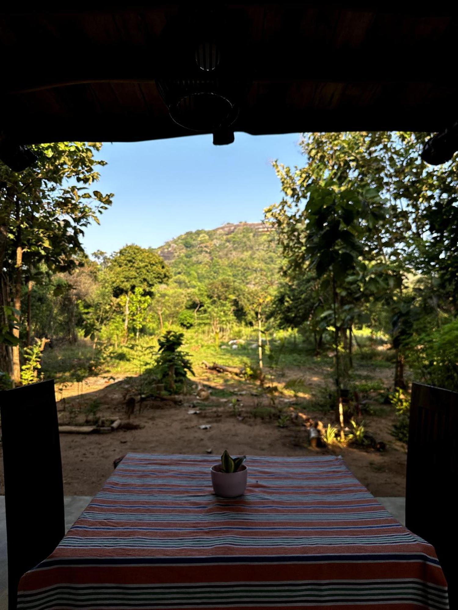 Pidurangala View Treehouse Apartment Sigiriya Exterior photo