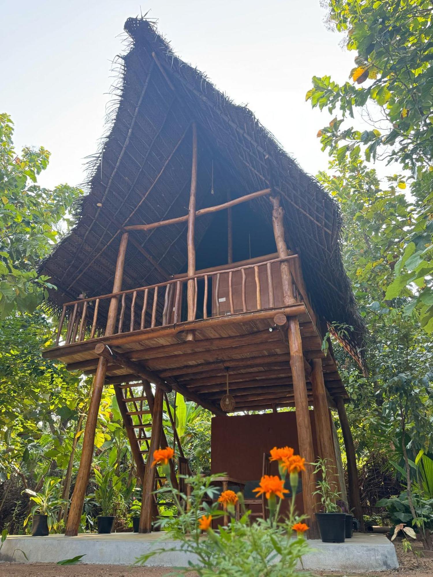 Pidurangala View Treehouse Apartment Sigiriya Exterior photo