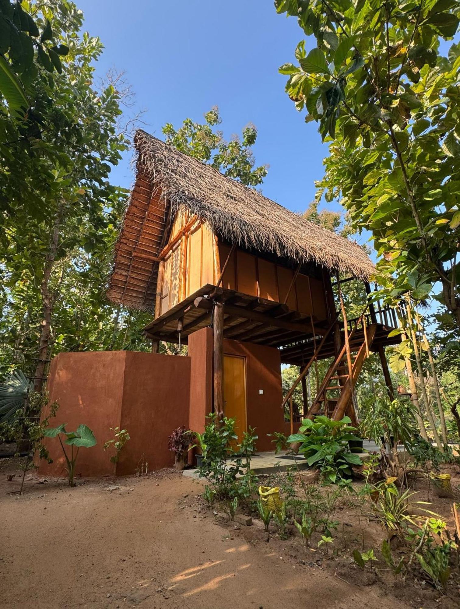 Pidurangala View Treehouse Apartment Sigiriya Exterior photo