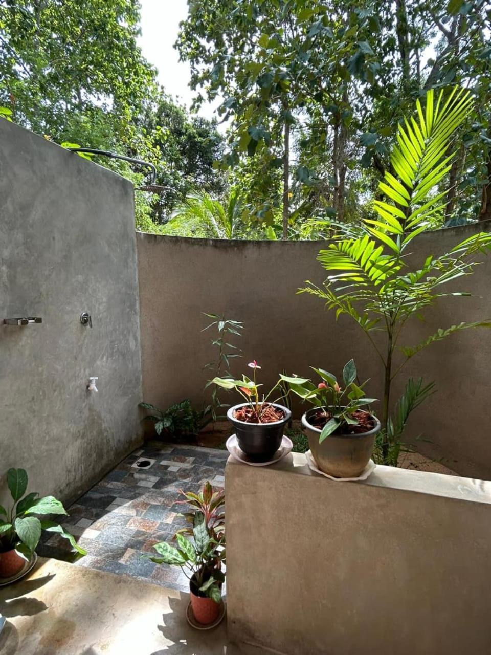 Pidurangala View Treehouse Apartment Sigiriya Exterior photo