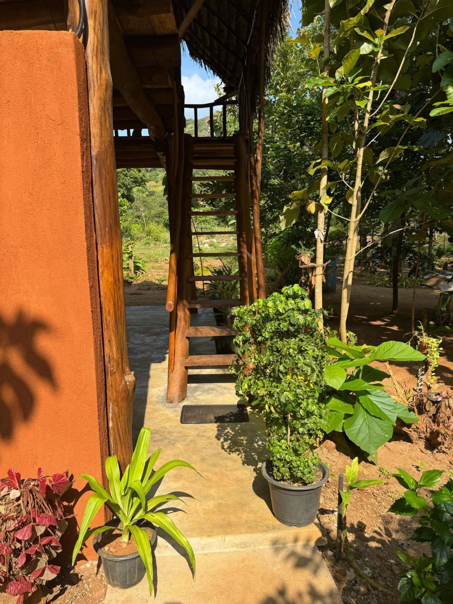 Pidurangala View Treehouse Apartment Sigiriya Exterior photo